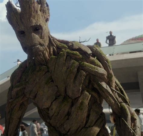 Groot (Marvel Cinematic Universe) .